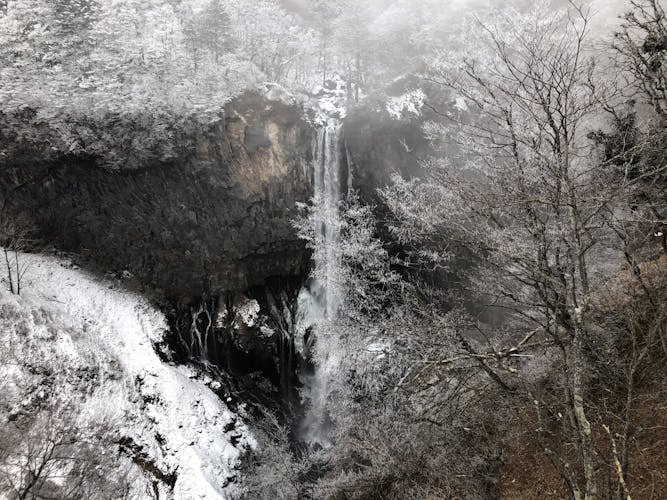 Nikko Toshogu Shrine and Kegon Waterfall Tour from Tokyo