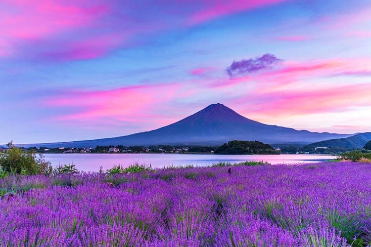 Guided day-tour to the highlights of Mount Fuji region
