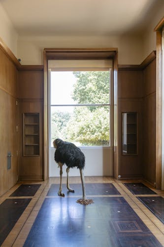 Tickets to Maurizio Cattelan exhibition at the Serralves Villa