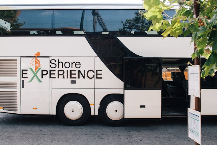 Cruise Passenger Transfer from Livorno to Florence and Pisa