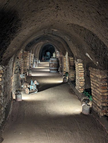 Frascati Guided Ebike Tour from Rome