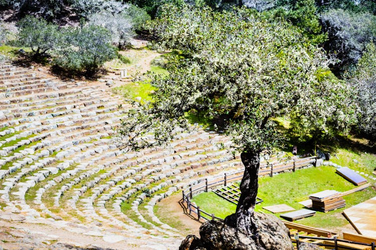Monumento Nacional de Muir Woods: Visita autoguiada a pie y en coche