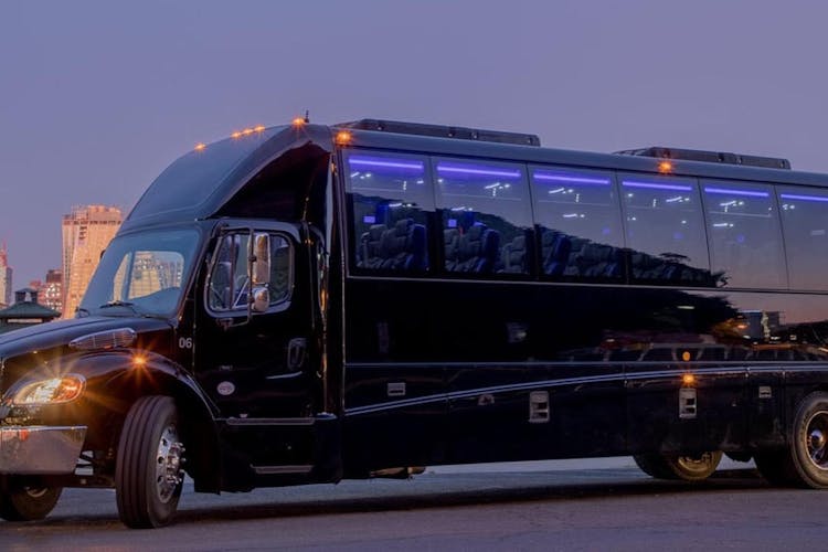 NYC Dyker Heights luxury holiday lights tour and hot cocoa