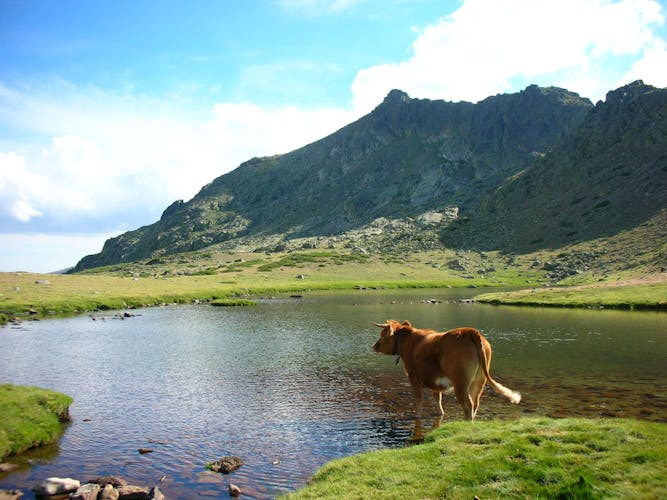 Day Trip from Madrid to Guadarrama National Park