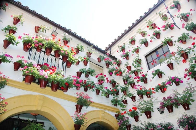 Excursión de un día a Córdoba desde Madrid en tren