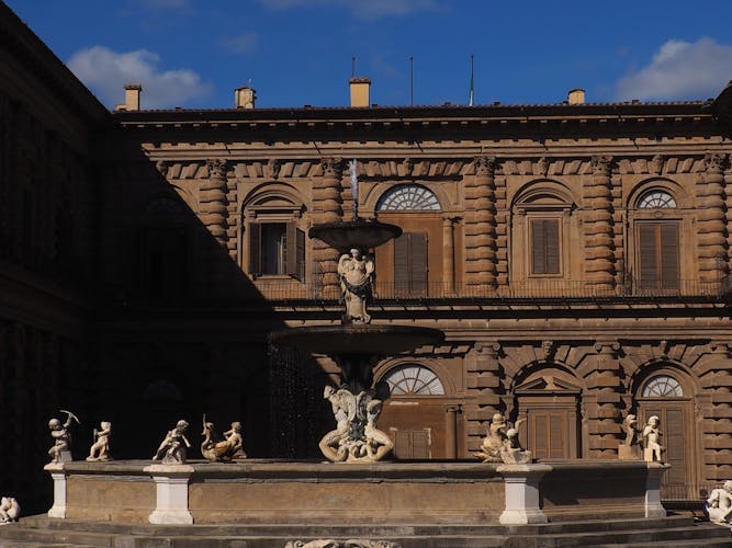 Pitti Palace and Boboli Gardens entrance ticket with eBooks