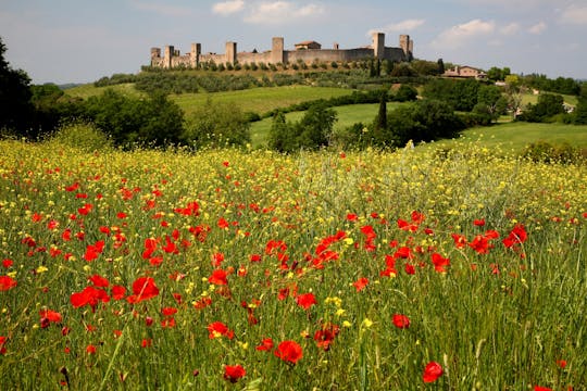 Caminata desde Siena a Monteriggioni con cata de vinos