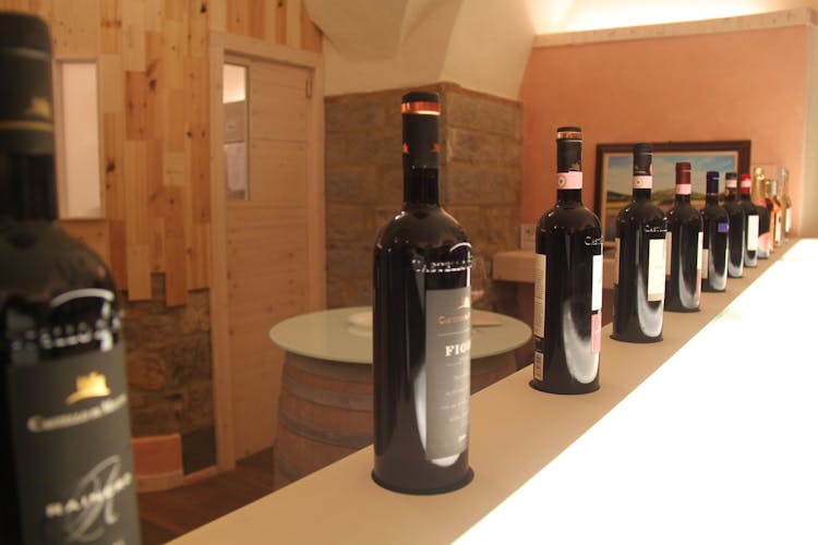 Recorrido en grupo reducido por el vino Chianti desde Siena con almuerzo