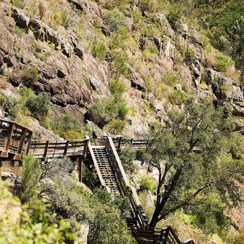 516 Arouca Bridge & Paiva Walkways: Guided Tour from Porto + Lunch