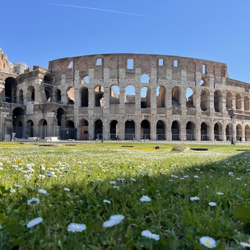 Colosseum, Arena, Underground, Forum & Palatine Hill + Guided Tour