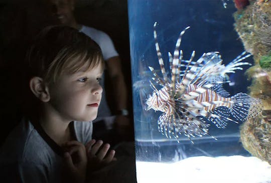 Visita al Bioparque Temaiken desde Buenos Aires