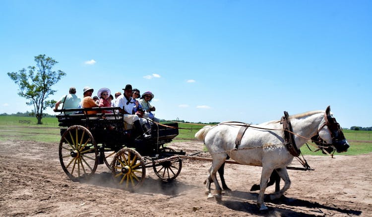 Excursión de un día a la Estancia Santa Susana Gaucho desde Buenos Aires