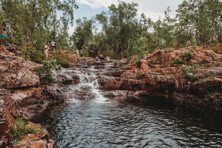 Recorrido turístico de día completo por el Parque Nacional Litchfield en Darwin