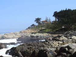 Excursión al Parque Tricao y Viña Undurraga