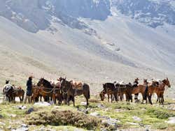 Excursión a caballo por el Cajón del Maipo