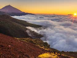 Excursión privada por Tenerife