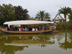 Autobús turístico de la Albufera + Paseo en barca