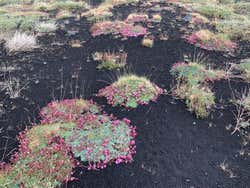 Tour en 4x4 por el Etna