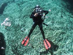 Bautismo de buceo en Tulum