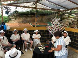Visita a una finca de café en el barrio La Sierra