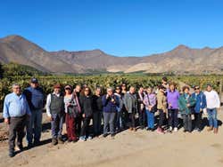 Excursión a la Laguna del Inca y la Viña Sánchez de Loria