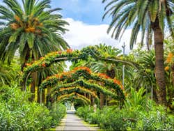 Tour por Santa Cruz de Tenerife para cruceros