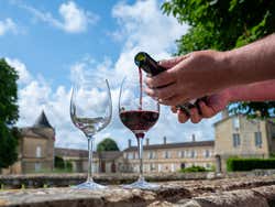 Tour del vino por Pessac-Léognan y Graves