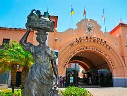 Autobús turístico de Santa Cruz de Tenerife