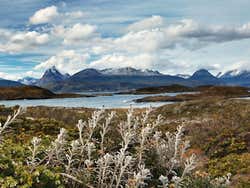Excursión a Puerto Almanza + Avistamiento de pingüinos en la isla Martillo