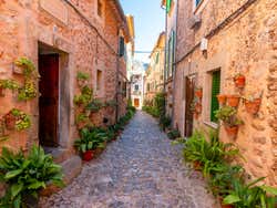 Tour por Palma de Mallorca y Valldemosa