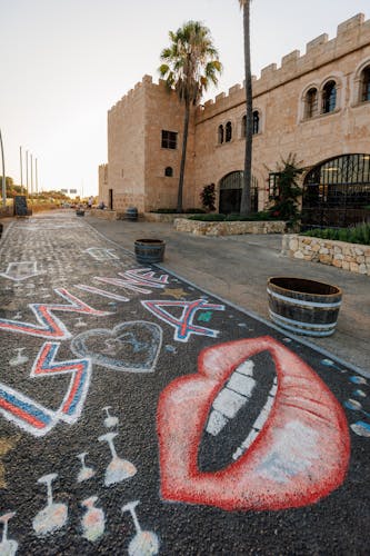 Experiencia de cata de vinos en Mallorca