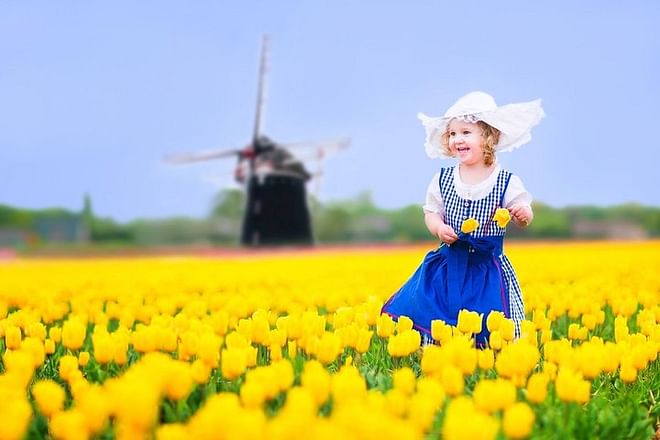 Delft och Keukenhof Gardens dagsresa från Bryssel