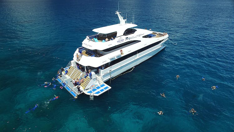 Crucero de buceo y snorkel en la Gran Barrera de Coral