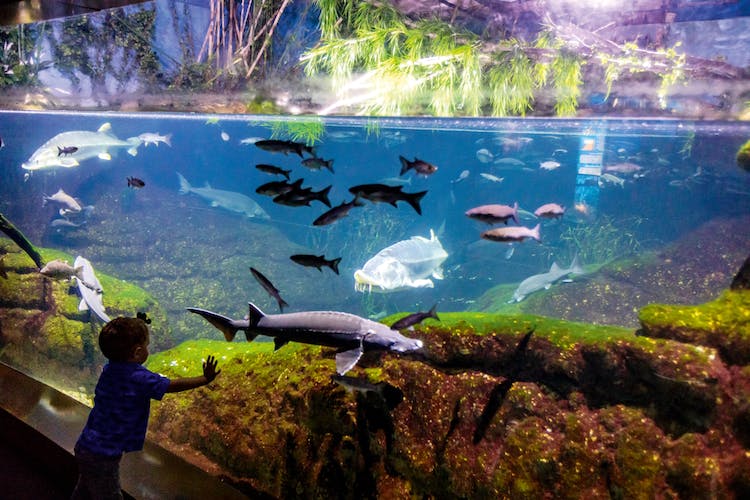 Destination Pass - Best of Barcelona