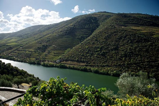 Guided tour of the Douro with river cruise and wine estates' visit