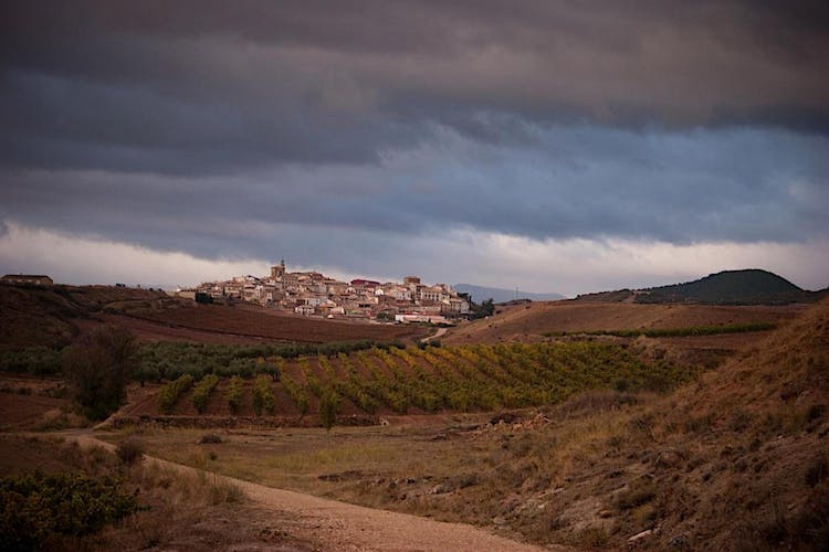 Santiago de Compostela guided tour from Porto