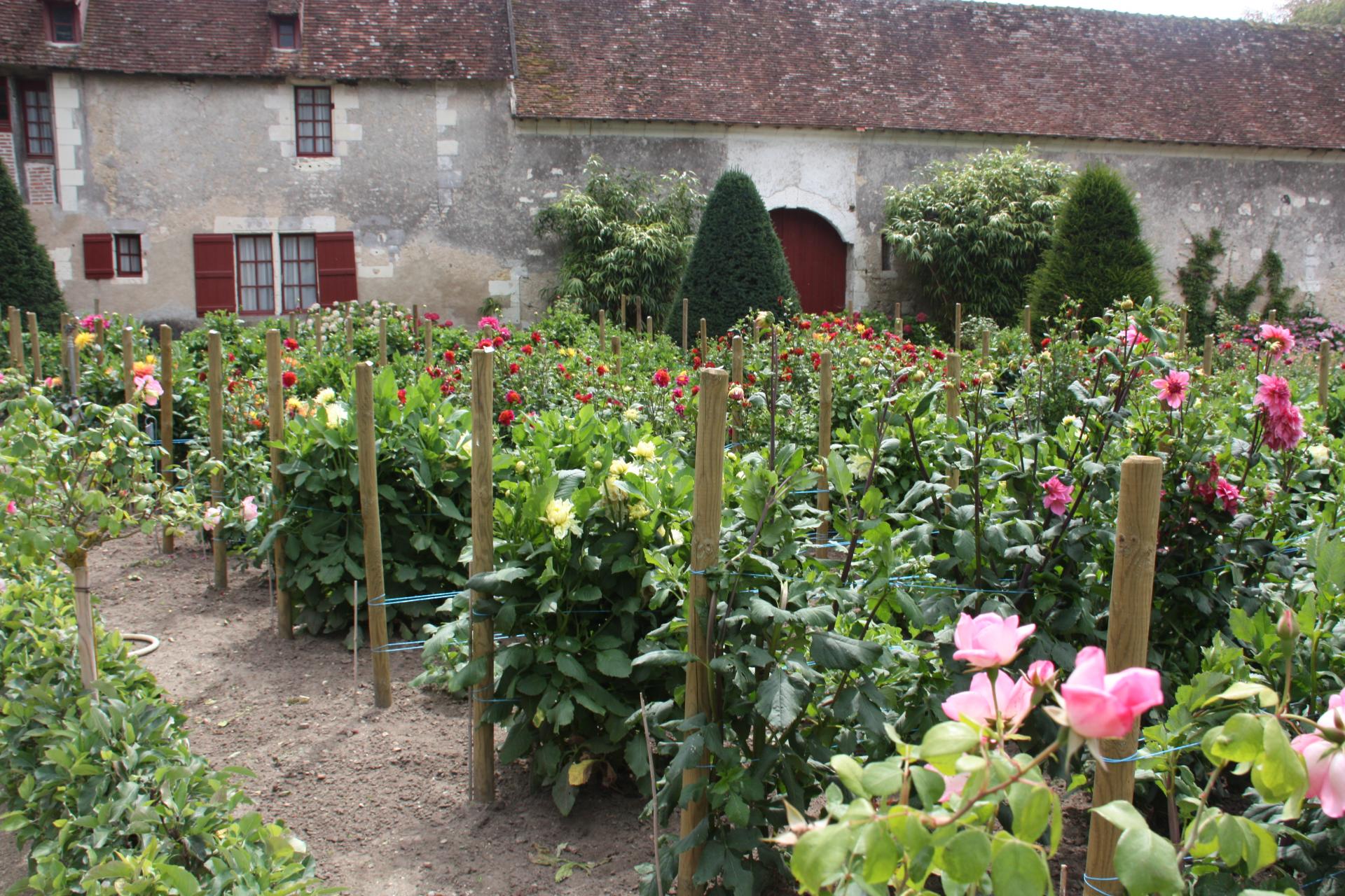 Loire Valley Day Trip from Paris with Wine Tasting