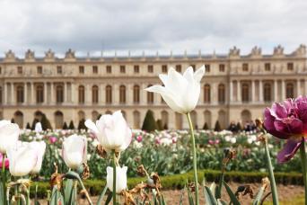 巴黎出發的凡爾賽一日遊，包含宮殿導覽及可選的花園門票
