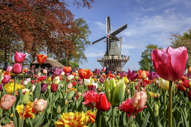 Keukenhof ticket with transfer, bus audio guide and Canal cruise