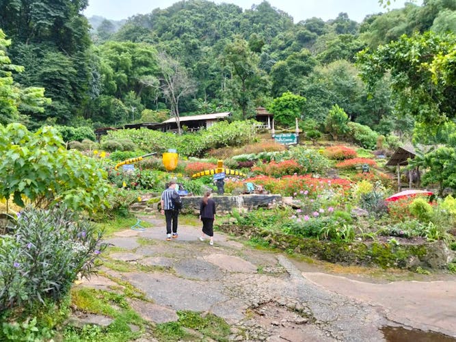 Excursión de medio día a Doi Suthep y a la aldea de la colina White Hmong
