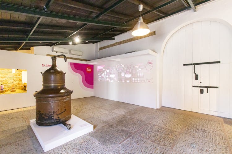 Destilería Puerto de Indias basic guided tour with gin tasting