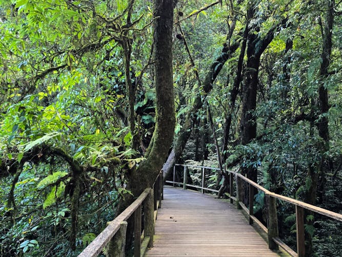 Excursión al Parque Nacional de Doi Inthanon en Chiang Mai