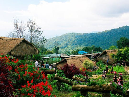 Excursión privada de medio día en furgoneta a Doi Suthep y la aldea hmong de Doi Pui desde Chiang Mai