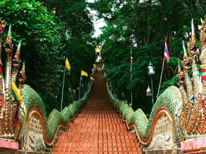 Medio día en furgoneta privada a Doi Suthep y Wat Pha Lat