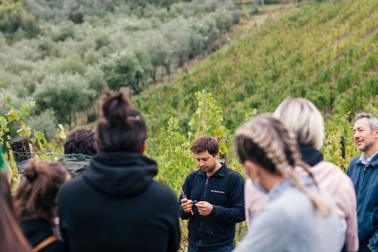 Historic Villa Travignoli cellar tour and wine tasting