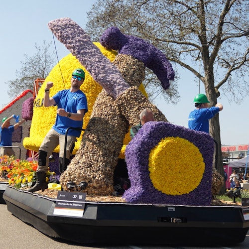 Flower Parade: Half-Day Tour from Amsterdam