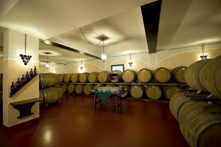 Siena and San Gimignano from Florence