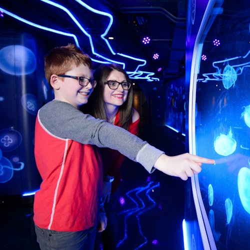 London Eye, Madame Tussauds & SEA LIFE London: Entry Ticket