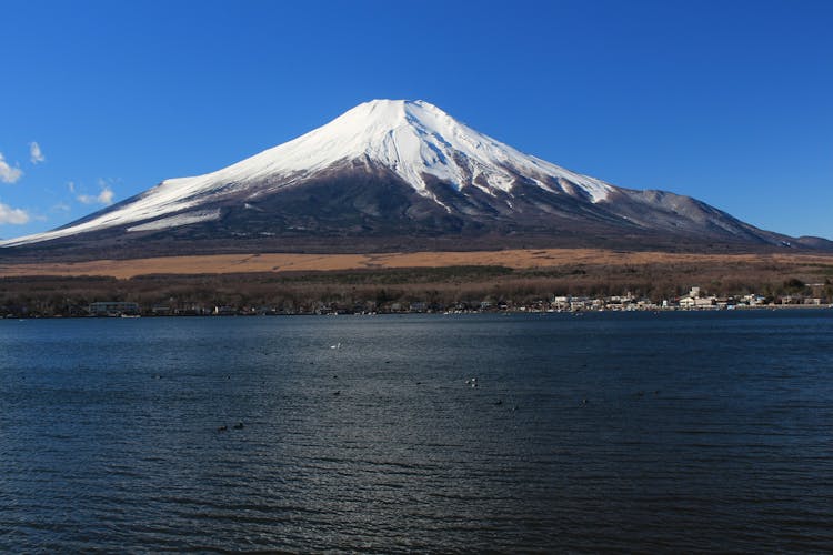 Mount Fuji full-day tour from Tokyo with private driver and guide