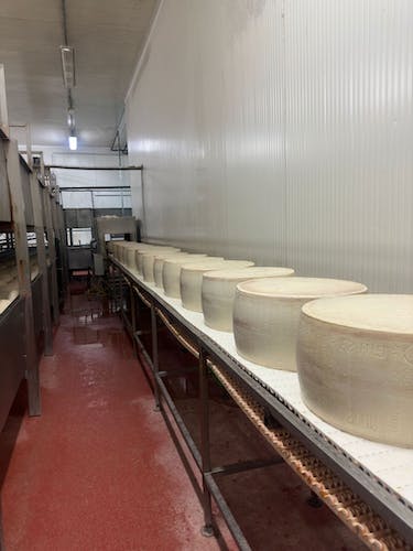 Día completo Parmiggiano y Vinagre Balsámico Tour con almuerzo y traslado